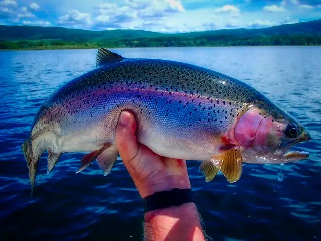 Beautiful rainbow