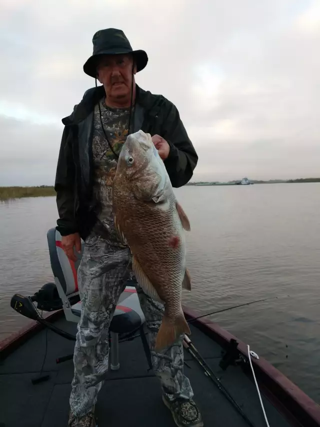 Black Drum Sabine River