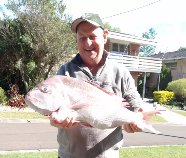 70 cm Snapper