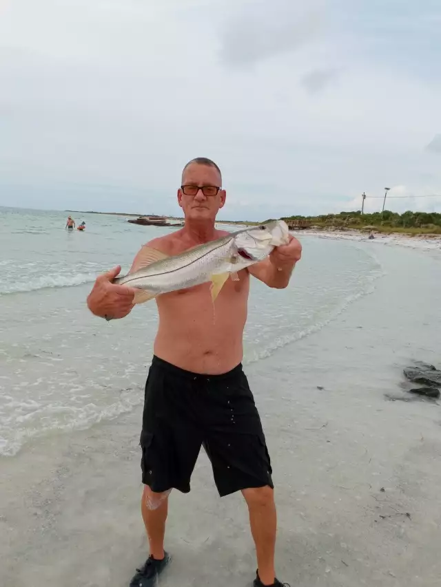 Small Snook
