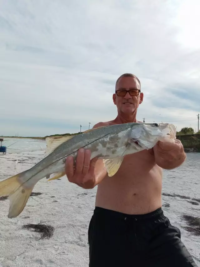 Medium Snook