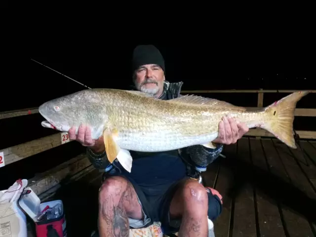 45 Inch Red Drum