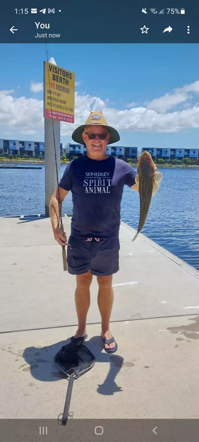 63cm Flathead