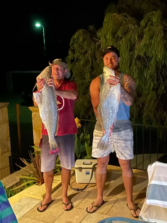 Mulloway