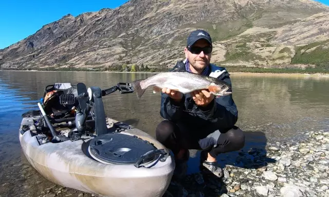 A rainbow trout in a beautiful lake