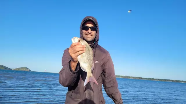 A little snapper from estuary