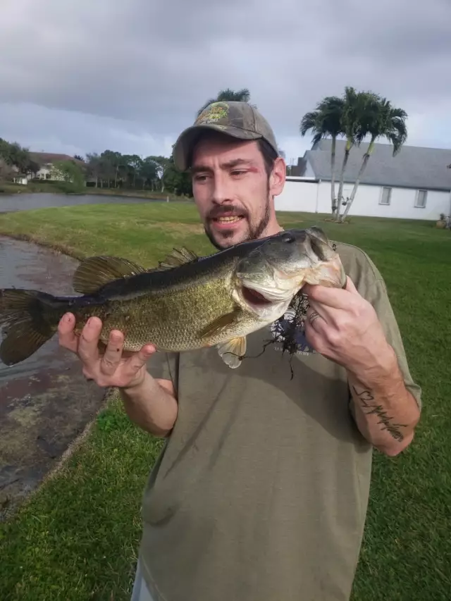 Largemouth bass