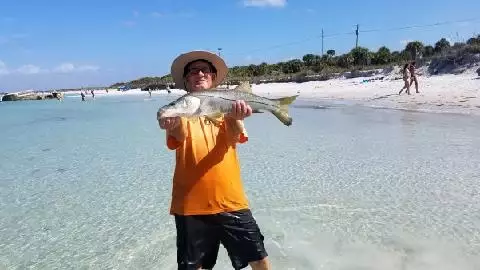 Snook SW Florida