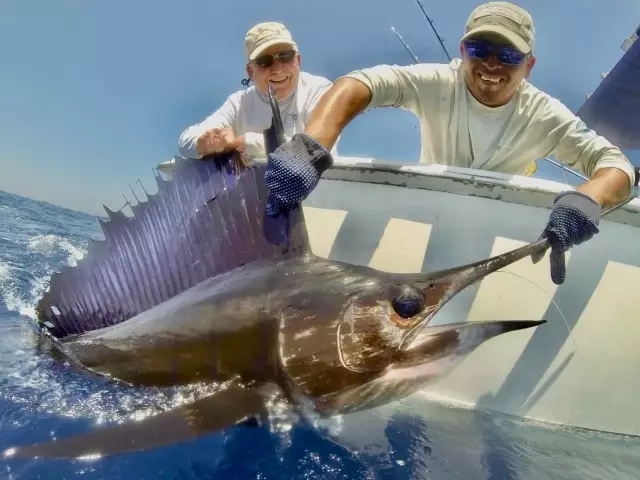 SAILFISH in GUATEMALA.