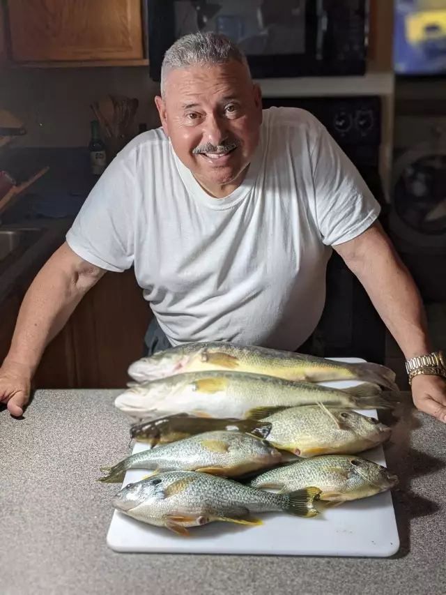 Two big mouth Bass, and four bluegills.