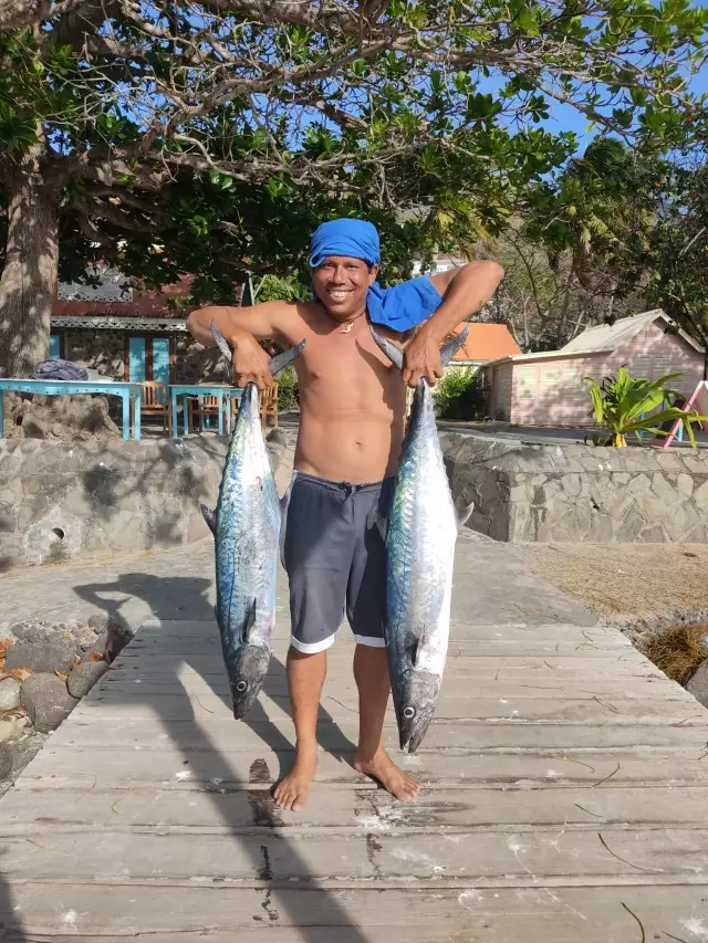 2 king mackerel