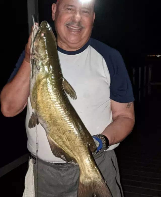 Channel catfish 10 lb