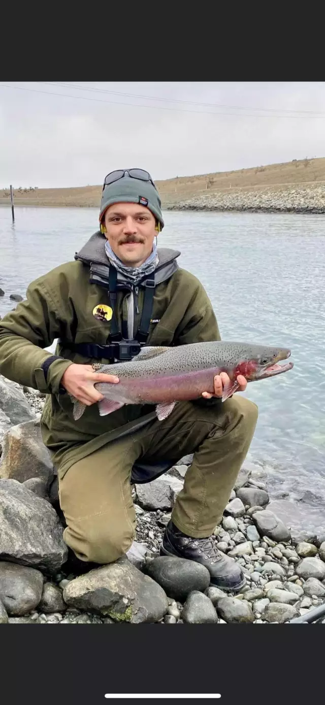 Rainbow trout