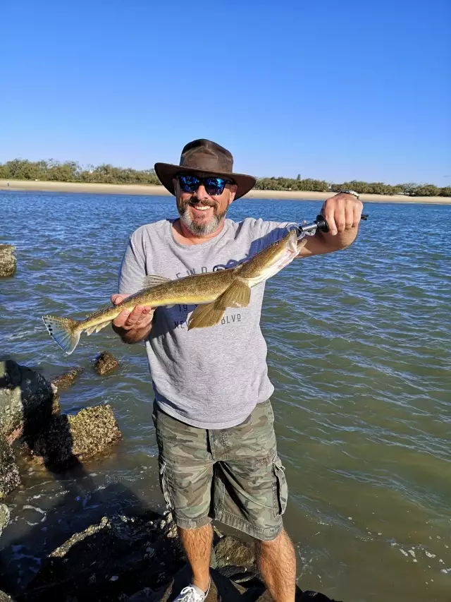 70cm Flathead