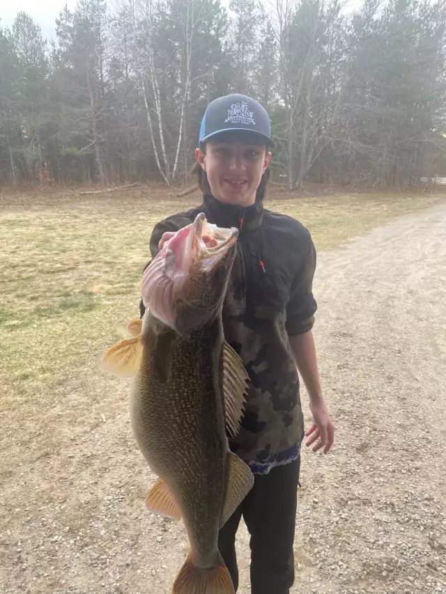 10lb 30in walleye caught by 14 year old in Michigan