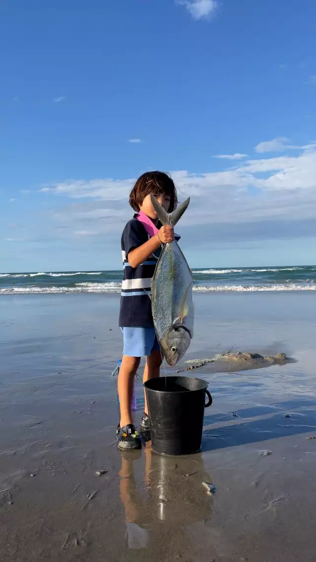 Trevally (흑점줄전갱이)