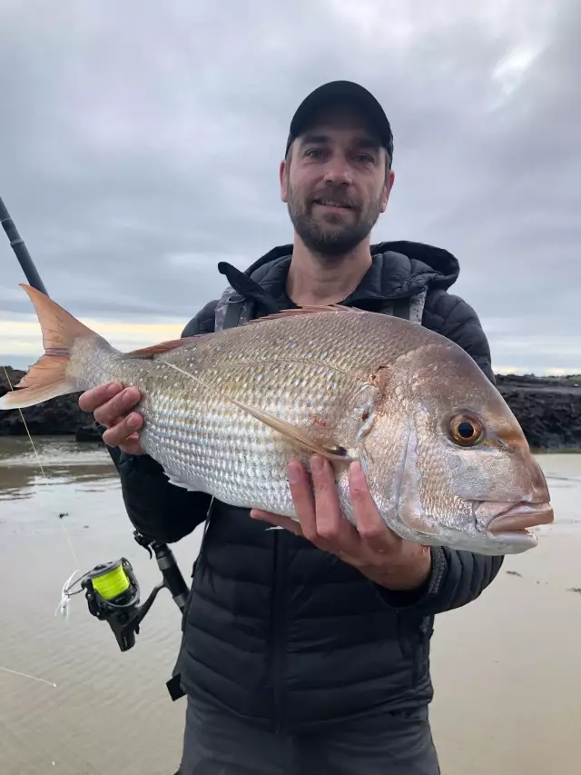 Nice snapper surfcasting from the beach