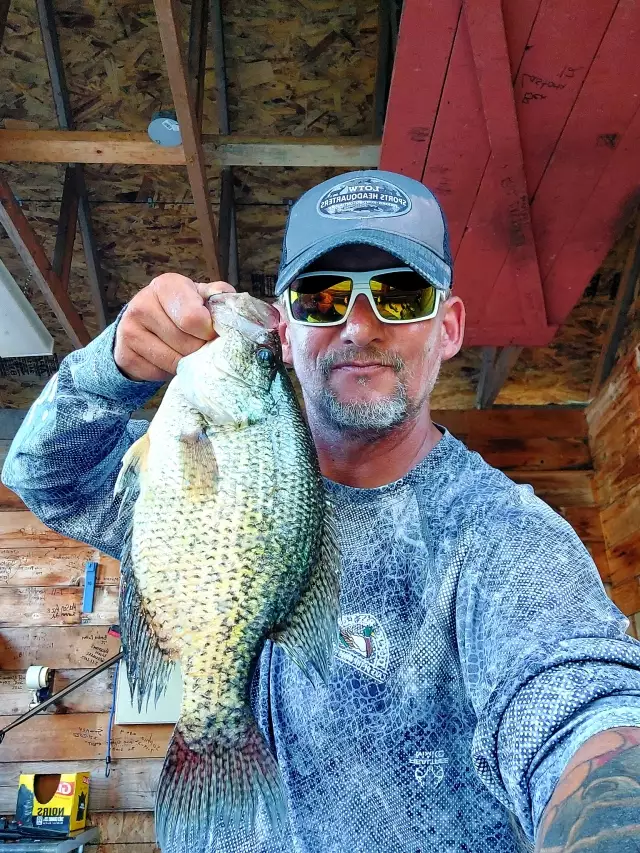 15 inch Crappie