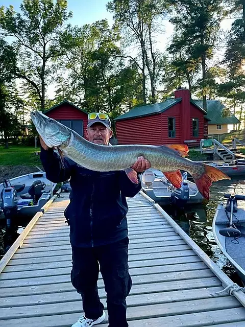 46.5 musky