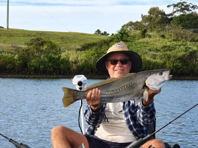 4.2Kg Mulloway (Jewie)