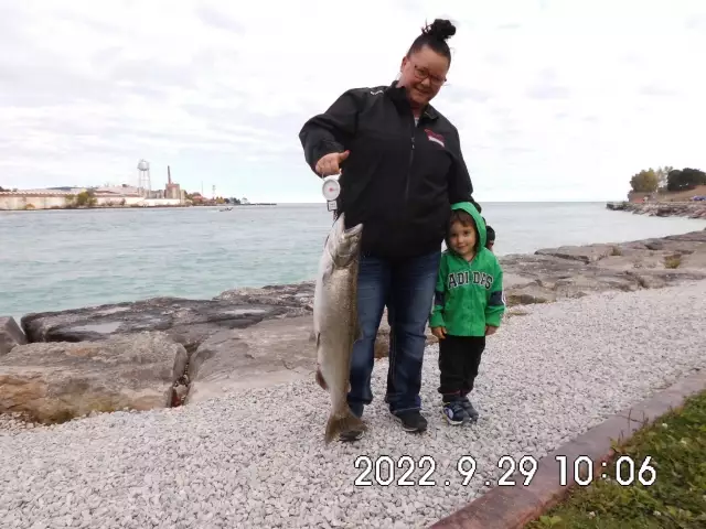 13.5# Chinook salmon