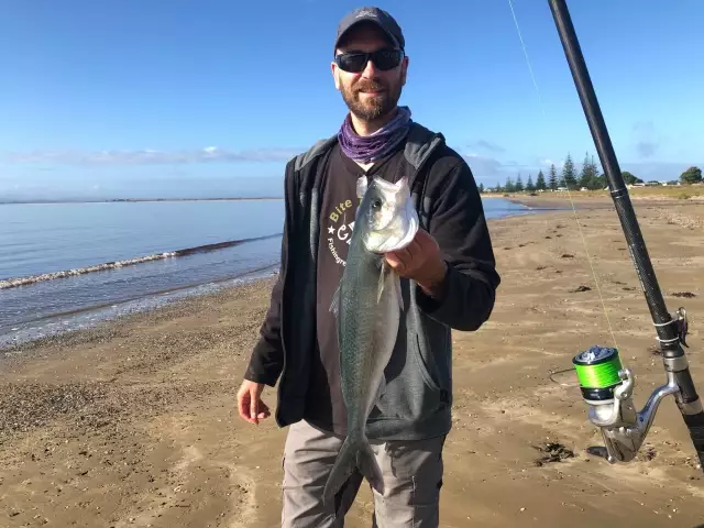 Good old Australian Salmon - surfcasting