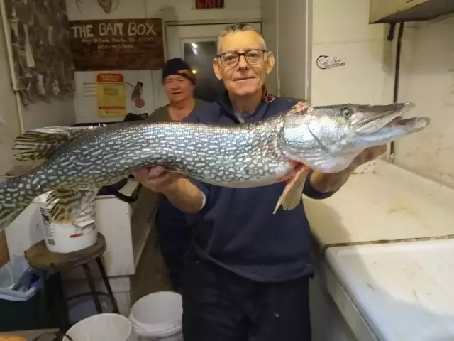 Northern Pike