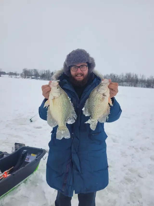 Crappie