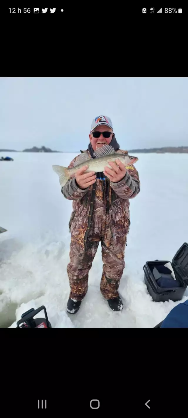 Walleye
