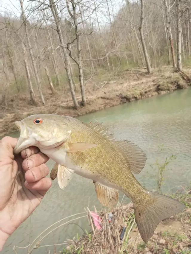 Small mouth