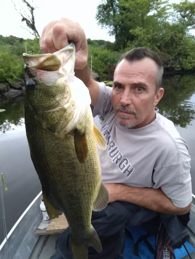 Largemouth bass/ pymatunie,Pa.