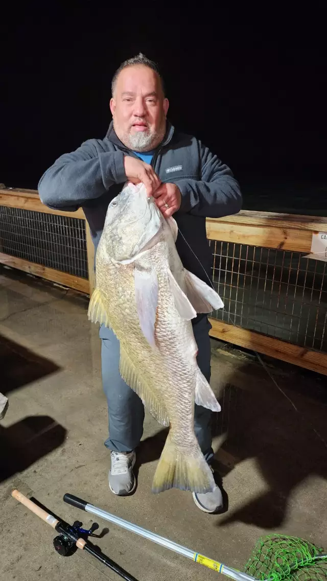 40 inch Black drum