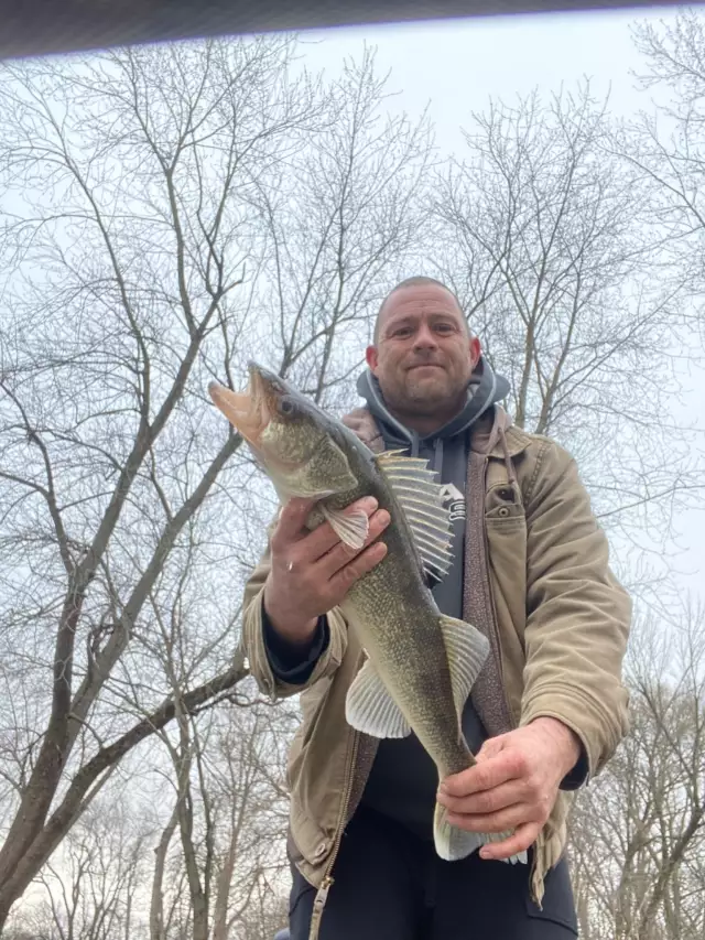 Walleye