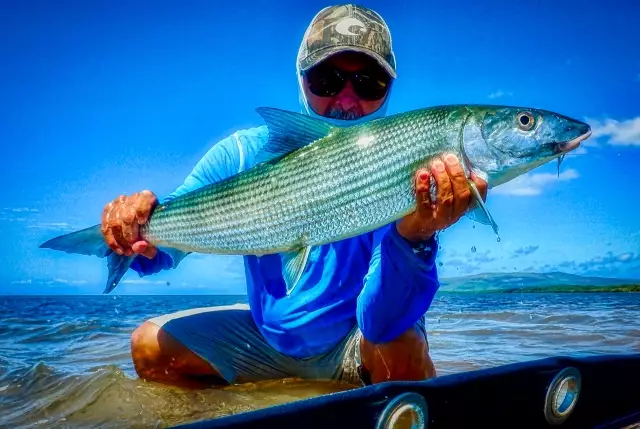 Big bad bonefish !