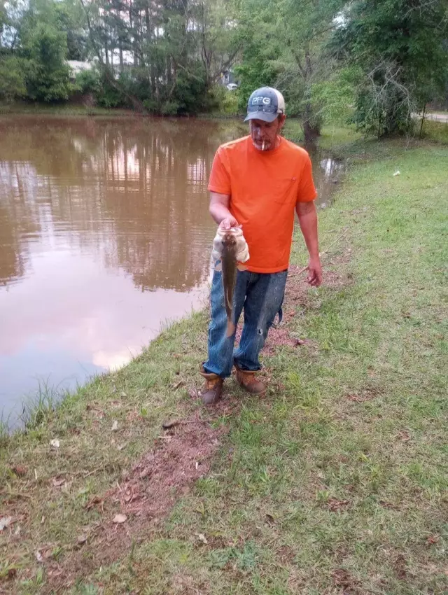 Large mouth bass