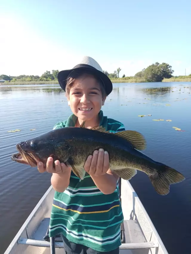 Largemouth Bass