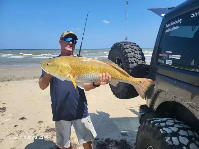 22lb Red Drum