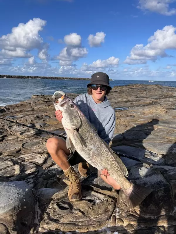 24lb jewfish