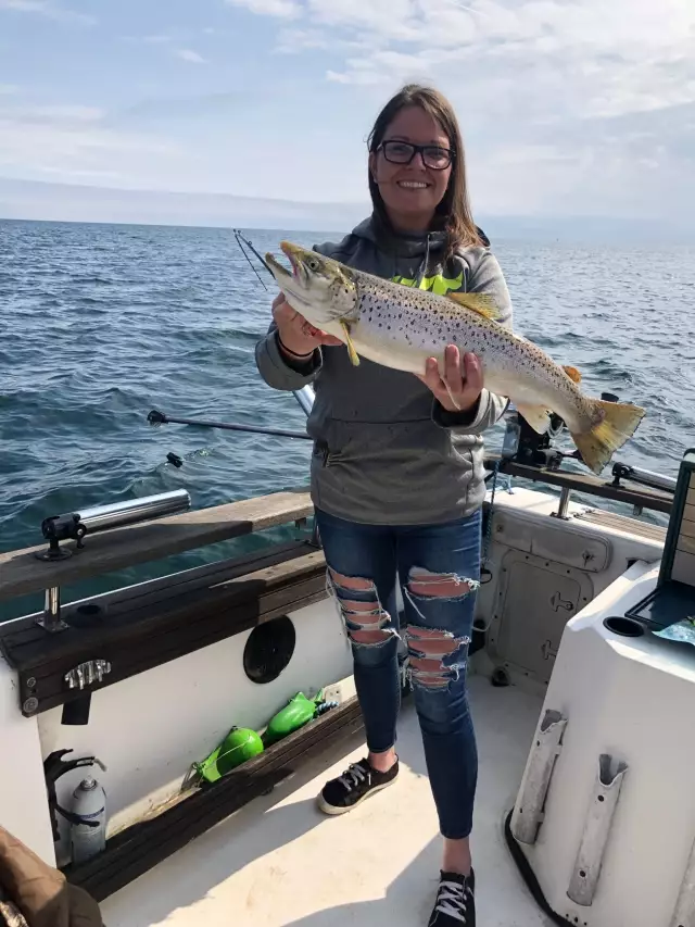 Lake Superior Brown trout