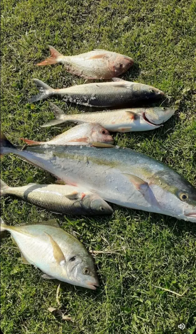 Mixed bag