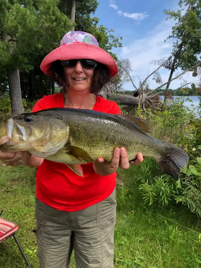 Large Mouth Bass