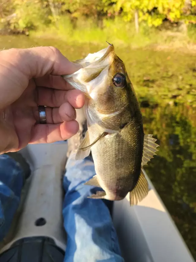 Private pond