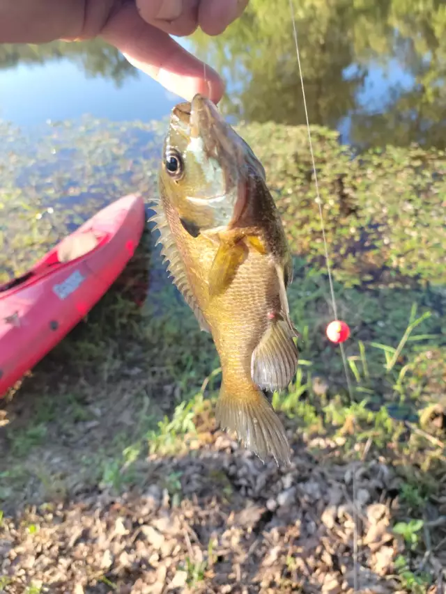 Private pond