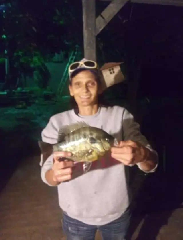 Bluegill