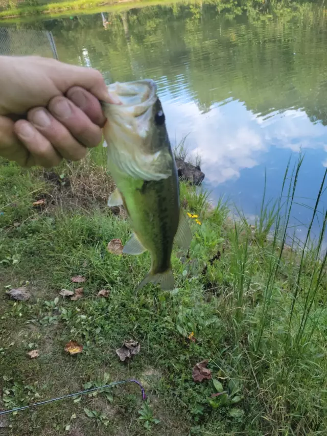 Private pond