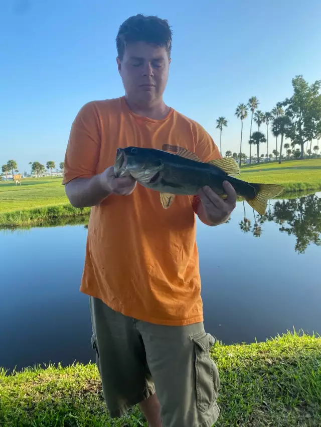 Bass