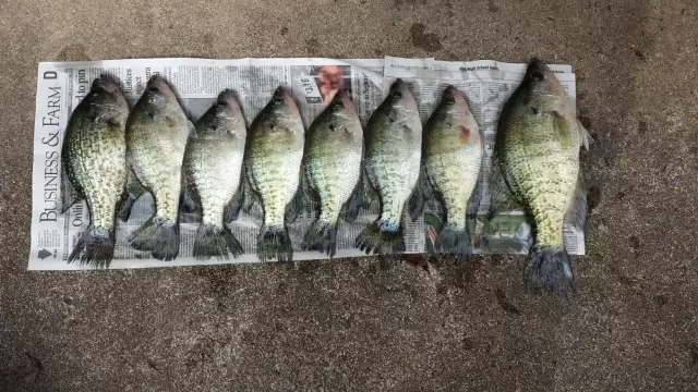 Good Day @ Lake Conway, May Flower, AR