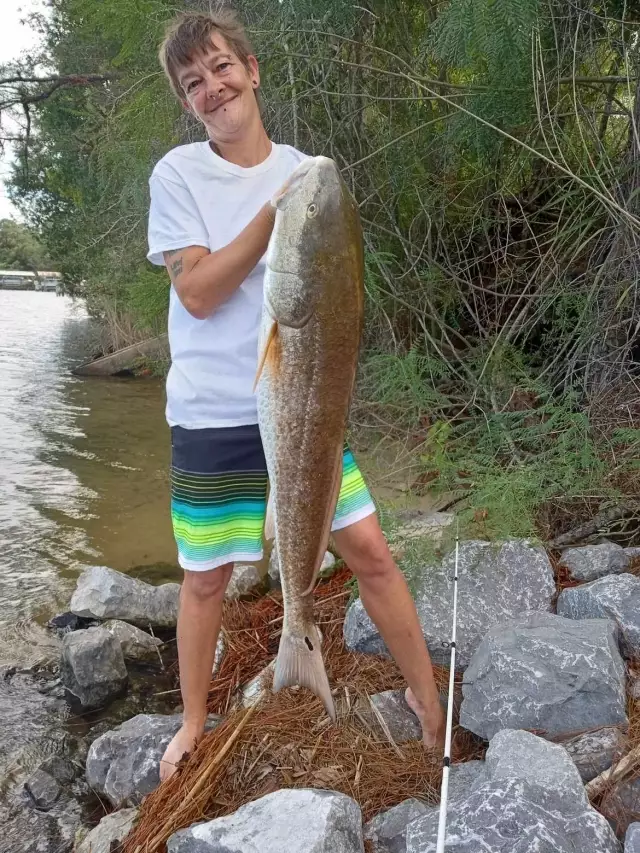 Redfish  20 lbs
