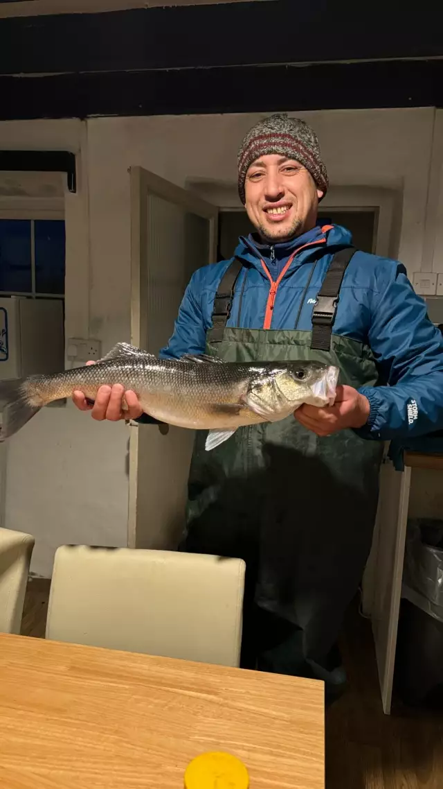 62 cm Sea bass