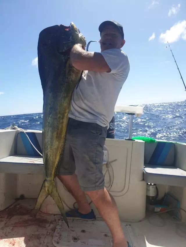 Mahi Mahi